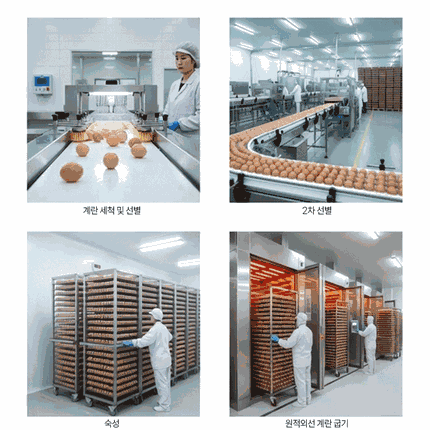 청라상회 구운계란 원적외선 맥반석계란 무항생제 HACCP 30구, 60구 1개 상세 이미지 29