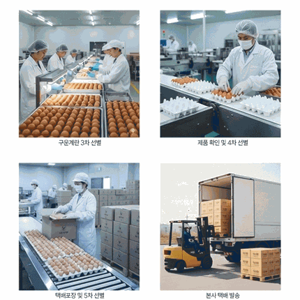 청라상회 구운계란 원적외선 맥반석계란 무항생제 HACCP 30구, 60구 1개 상세 이미지 30
