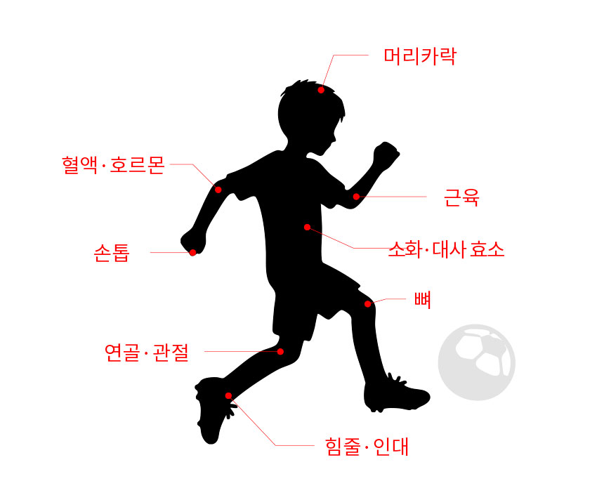 단백질보충제 에그젤리스틱 아르기닌 다이어트간식 단백질쉐이크 대체 딸기맛, 200g, 1개 상세 이미지 10