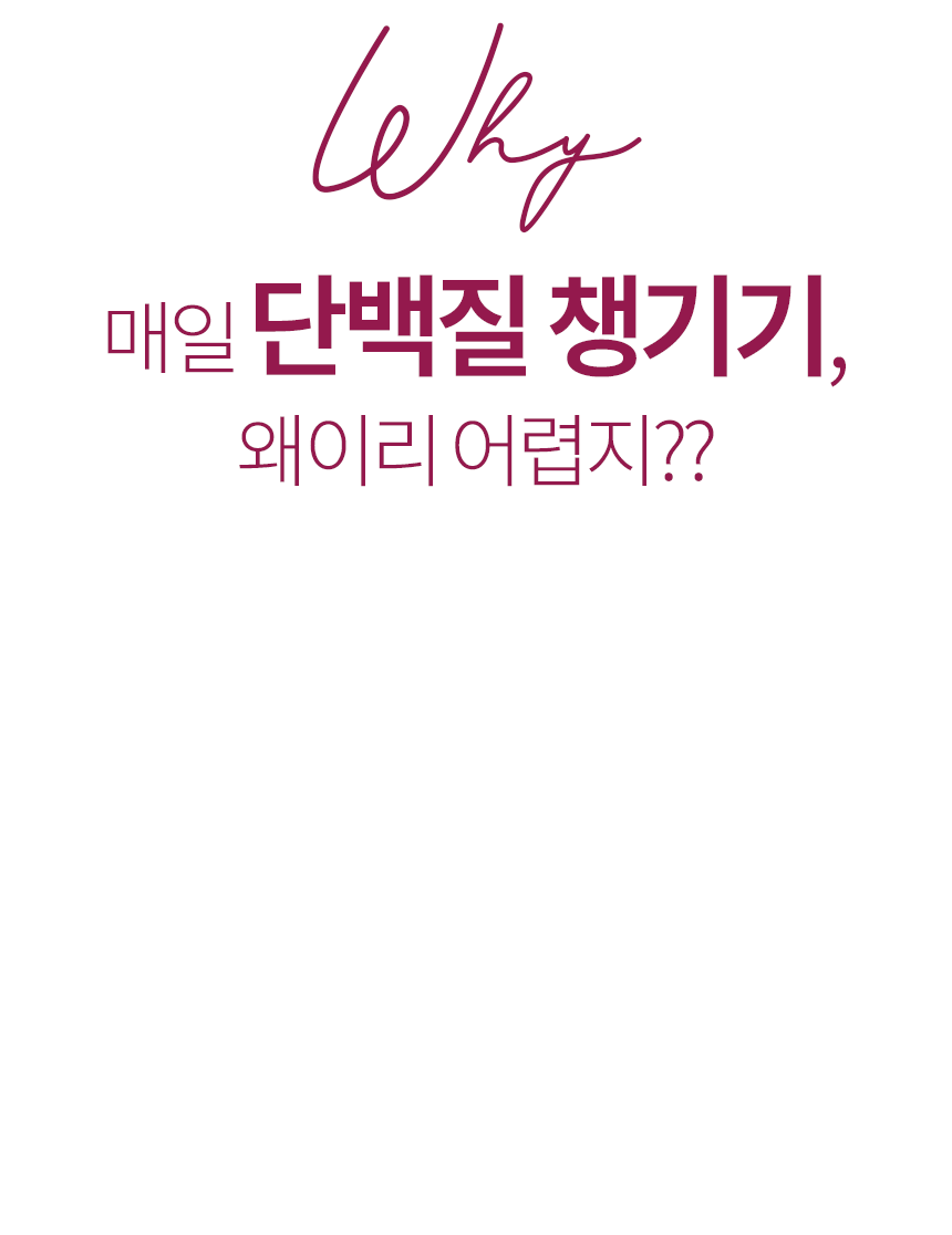 단백질보충제 에그젤리스틱 아르기닌 다이어트간식 단백질쉐이크 대체 망고맛, 200g, 1개 상세 이미지 7