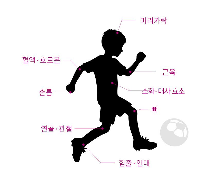 단백질보충제 에그젤리스틱 아르기닌 다이어트간식 단백질쉐이크 대체 망고맛, 200g, 1개 상세 이미지 10