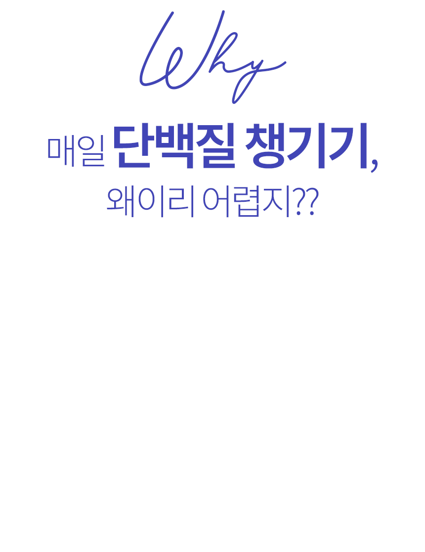 단백질보충제 에그젤리스틱 아르기닌 다이어트간식 단백질쉐이크 대체 바나나맛, 200g, 1개 상세 이미지 7