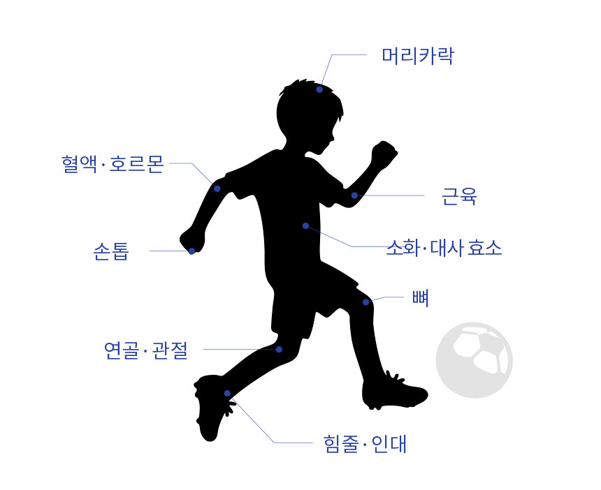 단백질보충제 에그젤리스틱 아르기닌 다이어트간식 단백질쉐이크 대체 바나나맛, 200g, 1개 상세 이미지 10