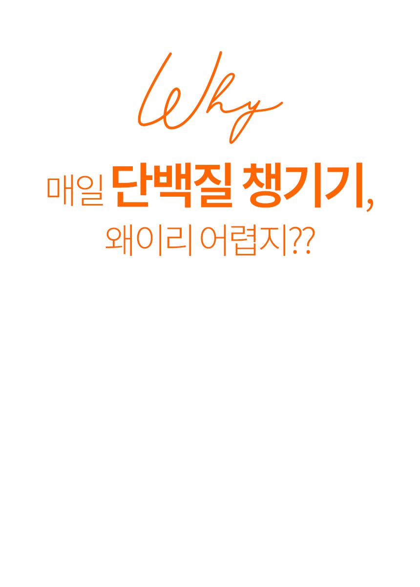 단백질보충제 에그젤리스틱 아르기닌 다이어트간식 단백질쉐이크 대체 3종세트, 200g, 3개 상세 이미지 6