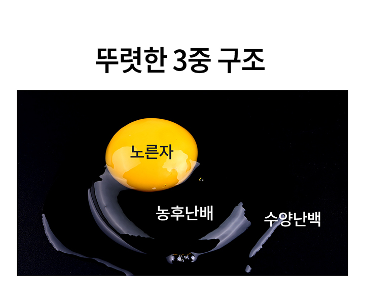 청라상회 무항생제 대란 신선계란 당일출고 산지직송 HACCP 60구, 90구 상세 이미지 8