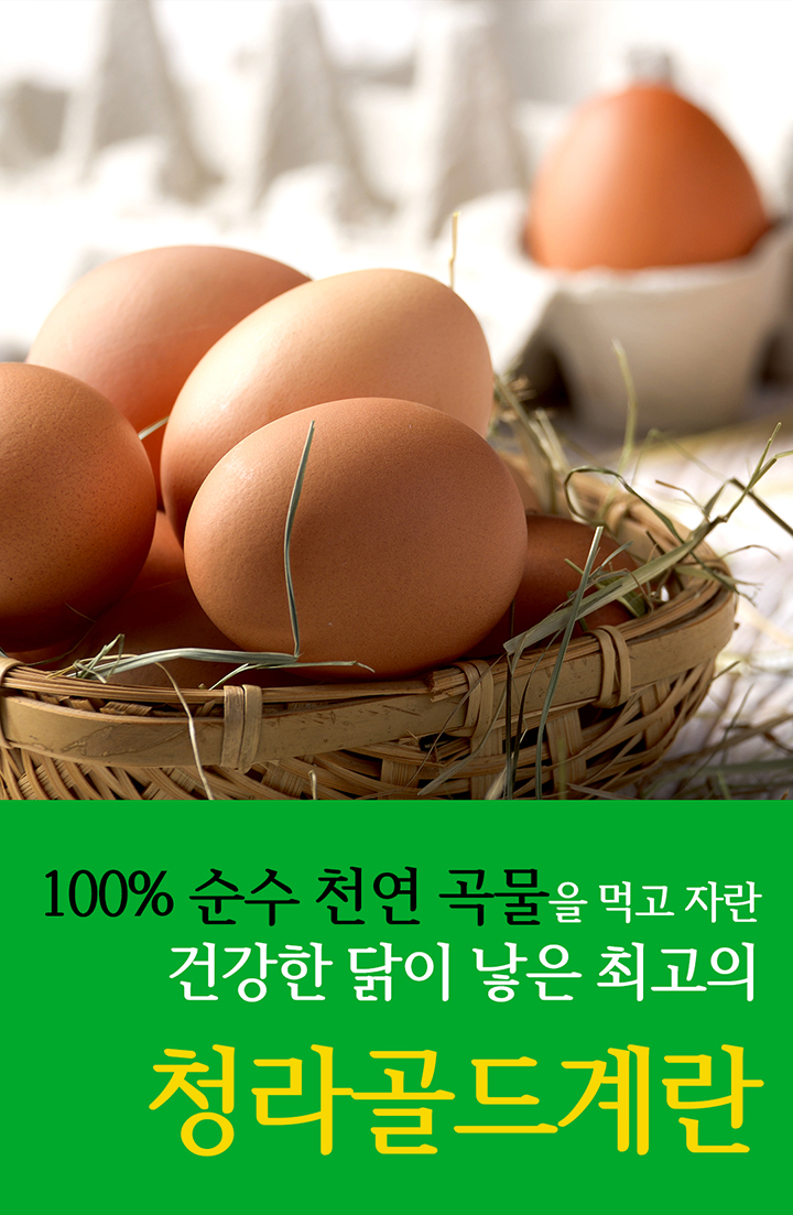 청라상회 무항생제 대란 신선계란 당일출고 산지직송 HACCP 60구, 90구 상세 이미지 1