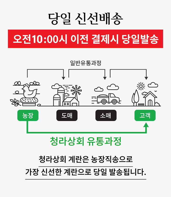 청라상회 무항생제 대란 신선계란 당일출고 산지직송 HACCP 60구, 90구 상세 이미지 3