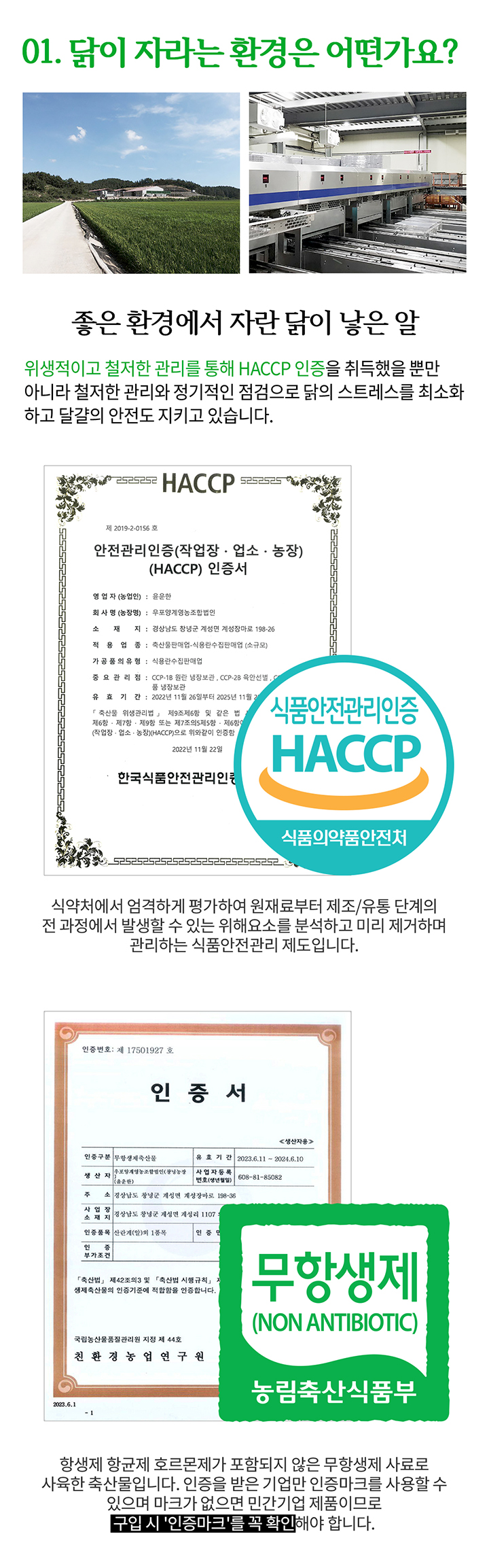 청라상회 무항생제 대란 신선계란 당일출고 산지직송 HACCP 60구, 90구 상세 이미지 9