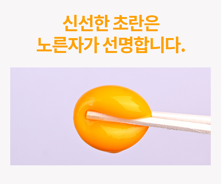 청라상회 무항생제 대란 신선계란 당일출고 산지직송 HACCP 60구, 90구 상세 이미지 14