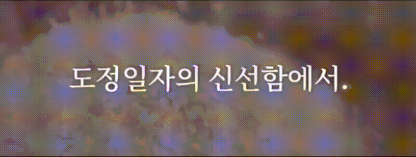 25년 햅쌀출시 / 찰기와 윤기의 최고봉 고시히카리 10Kg 넉넉한 용량 / 최근도정 상세 이미지 13