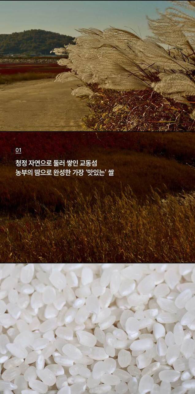랑이네 갓도정쌀 밀키트 쌀,고흥나물 1인분 (100g2개, 나물) 상세 이미지 9