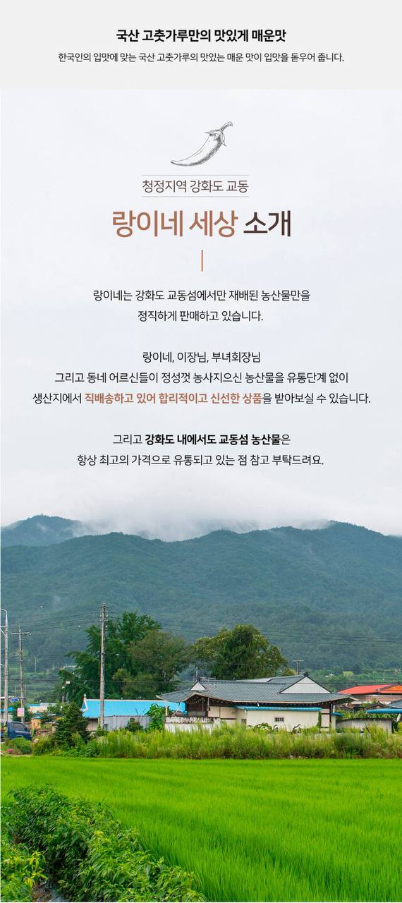 25년 햇 고춧가루 / 강화 교동섬 랑이네 햇살담은 고춧가루 /1.5kg 스파우트 포장 상세 이미지 7