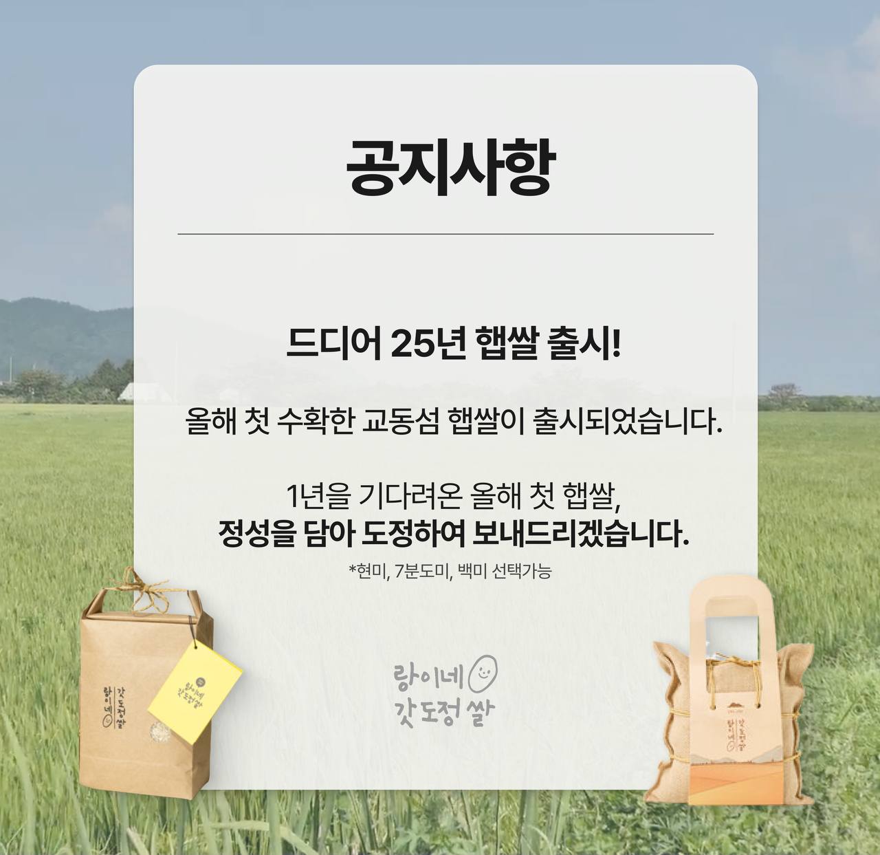25년 고시히카리 햅쌀 랑이네갓도정쌀 100g 7개입 / 소포장 선물 캠핑용 당일도정 특등급 상세 이미지 1