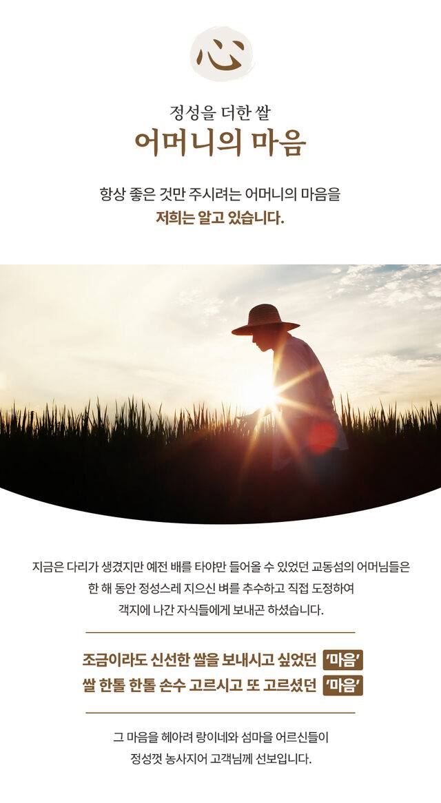2025년 햇 찹쌀 출시 10Kg / 랑이네 갓 도정쌀 / 강화도 교동섬쌀 / 정미소 직판 상세 이미지 11