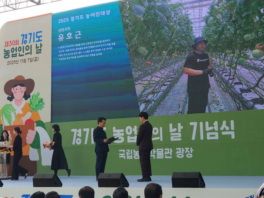 유럽종 완숙 찰 토마토 5kg 요리용 가정용 사이즈무관 막담아 못난이 주스용 상세 이미지 3