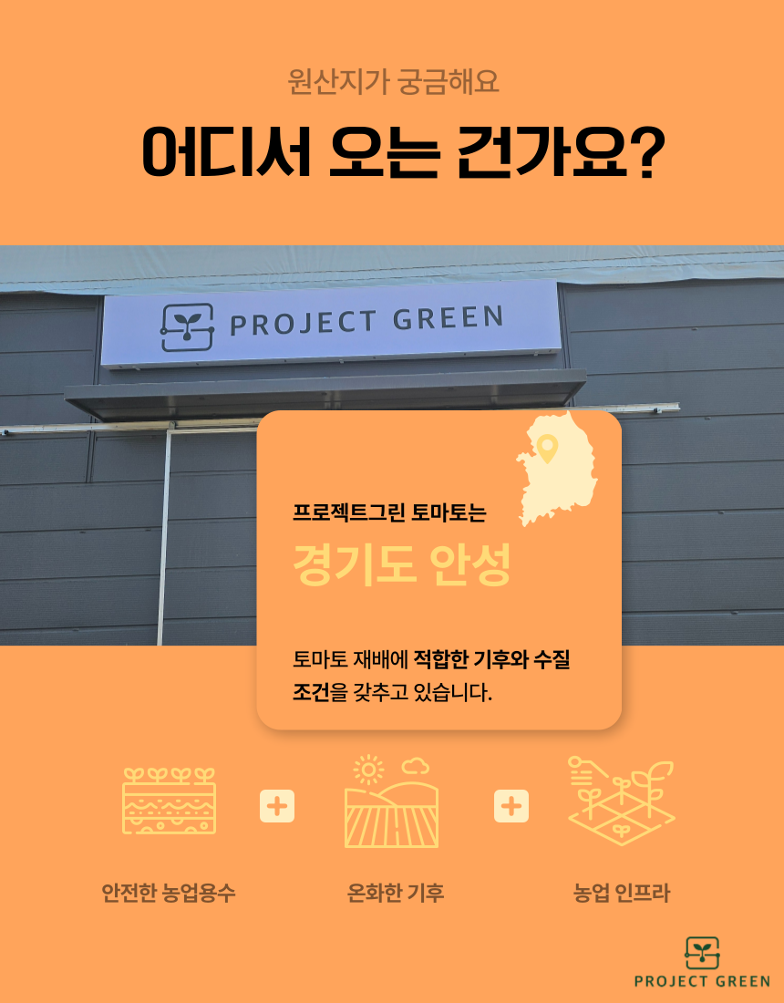 품질보장 농장직송 5KG 유럽종 완숙 찰 최상급 토마토 상세 이미지 14