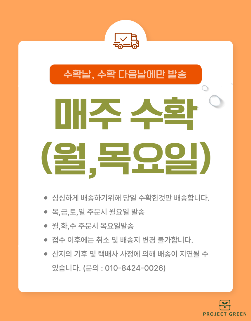 품질보장 농장직송 5KG 유럽종 완숙 찰 최상급 토마토 상세 이미지 3