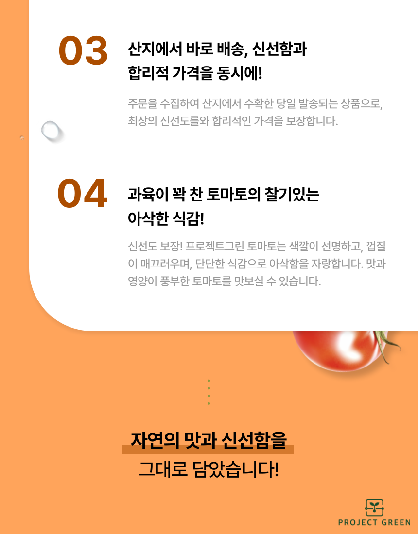 품질보장 농장직송 5KG 유럽종 완숙 찰 최상급 토마토 상세 이미지 6