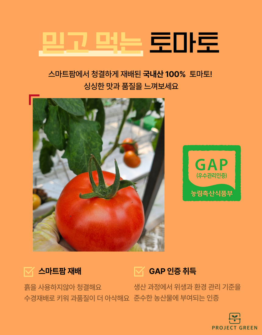 품질보장 농장직송 5KG 유럽종 완숙 찰 최상급 토마토 상세 이미지 4