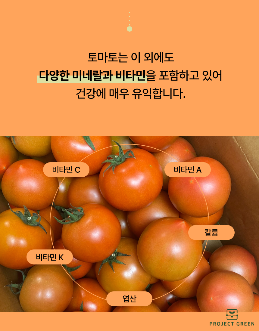 품질보장 농장직송 5KG 유럽종 완숙 찰 최상급 토마토 상세 이미지 10