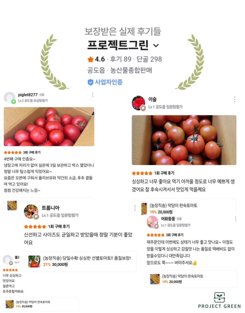 품질보장 농장직송 5KG 유럽종 완숙 찰 최상급 토마토 상세 이미지 8