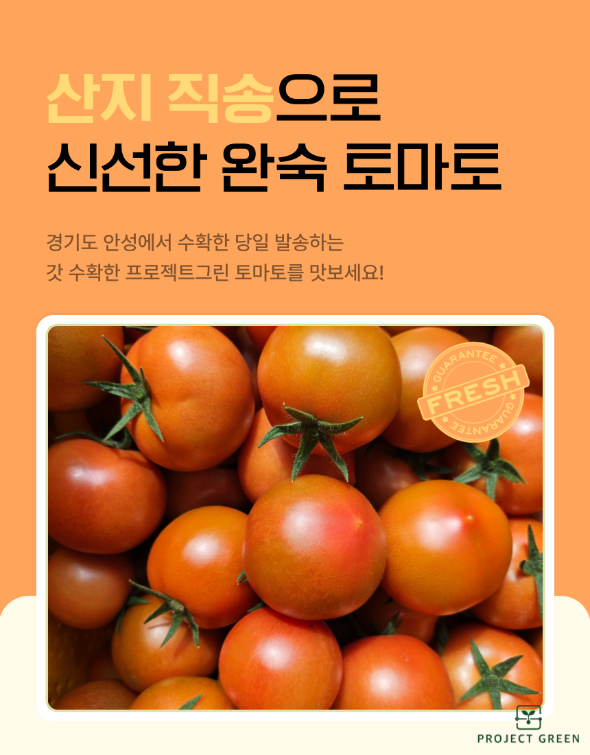 품질보장 농장직송 5KG 유럽종 완숙 찰 최상급 토마토 상세 이미지 2