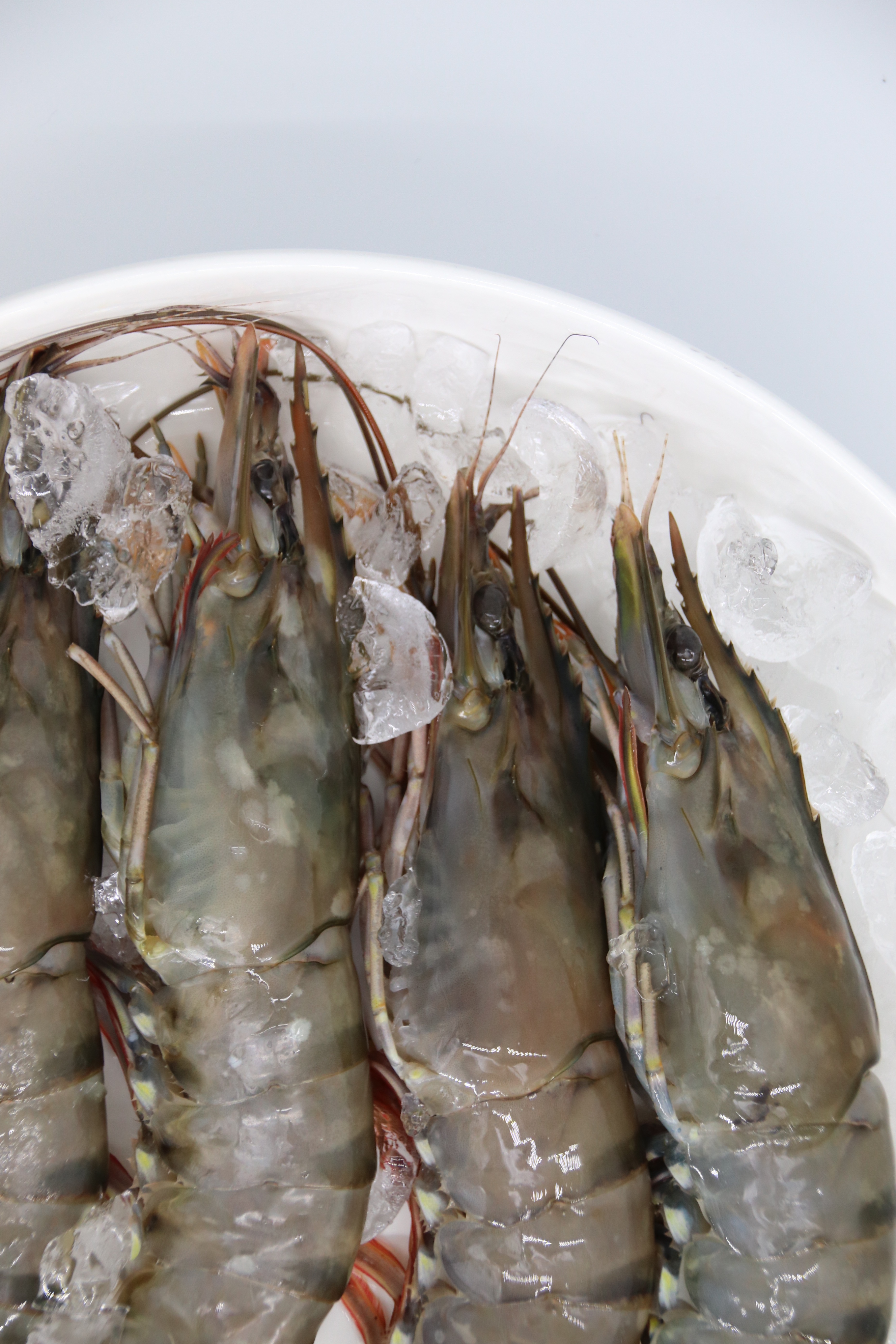 국내 최초 깐 블랙타이거새우장 20마리 1.5kg 킹타이거새우장 상세 이미지 8