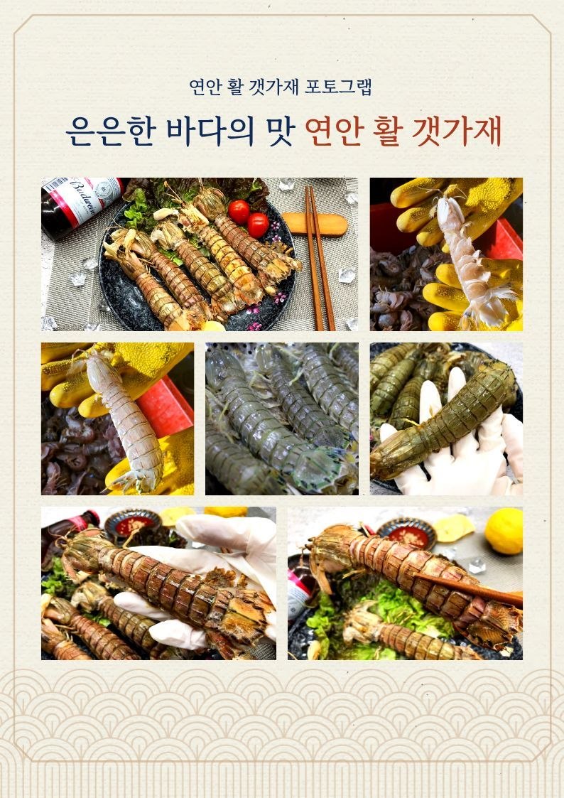 국내산 감칠맛 활 갯가재 500g 쏙 털치 제철 생물 갯가재 상세 이미지 3